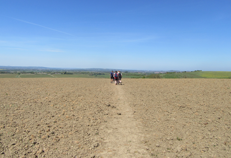 On the Trail of Bronze