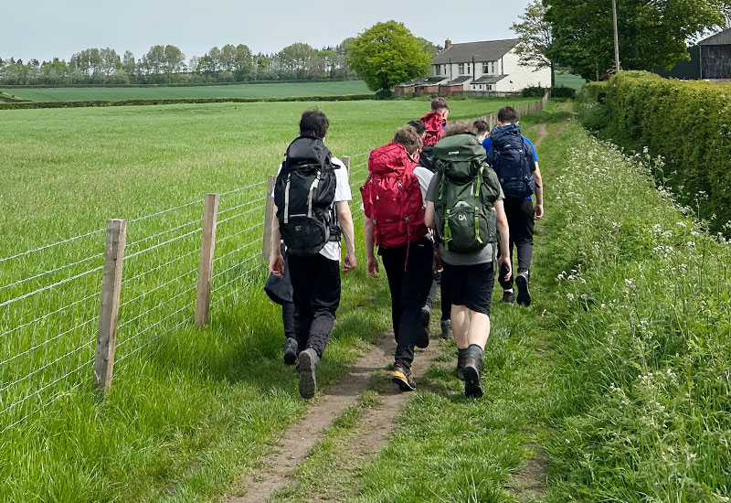 On the Trail of Bronze