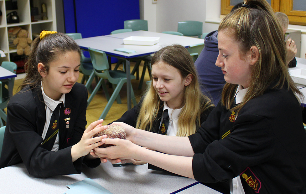 Uncovering Discovery